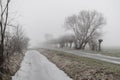 Deserted wet road near the river with leafless trees shrouded in fog