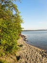 a deserted wild beach with traces of people on the shore of a forest lake Royalty Free Stock Photo