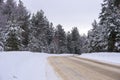 A deserted winter road in the forest. Royalty Free Stock Photo