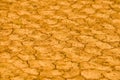 Deserted yellow dryland Royalty Free Stock Photo