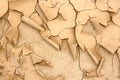 Desertification texture