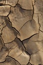 Desertification in the Bardenas Reales