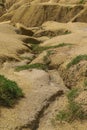 Desertification of the land - eroded landscape