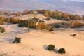 desertification prairie and autumn trees