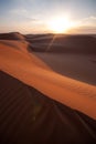 Deserts of Oman Royalty Free Stock Photo