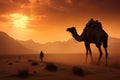 Deserts sandstorm at sundown witnessed by a steadfast camel