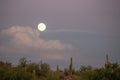 Desertscape moonrise over Salt River wilderness near Phoenix Arizona USA Royalty Free Stock Photo