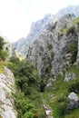 Desfiladero del RÃÂ­o Cares, Cabrales ( Spain )