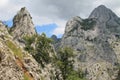 Desfiladero del RÃÂ­o Cares, Cabrales ( Spain ) Royalty Free Stock Photo