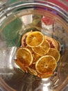 Desiccated fruit - Citrus