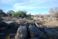 Rocks and trees in dried up Okonjou riverbed Royalty Free Stock Photo