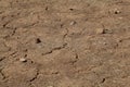Desiccation Cracks in farming soil