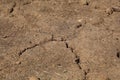 Desiccation Cracks in farming soil