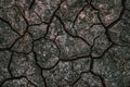 Desiccation cracks texture top view