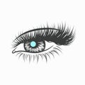 Blue female eye Royalty Free Stock Photo