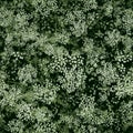 Design of abstract wildflowers. Flowering meadow. Seamless pattern of small light flowers. Floral light green background for Royalty Free Stock Photo