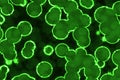 design amazing green huge amount of bio micro organisms computer art background illustration Royalty Free Stock Photo