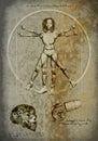 Old design of a vitruvian android