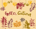 Design of autumn banner, postcard, print with ink color stamps of different leaves and handwritten lettering