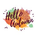 Design autumnal poster, banner and label with Hello Autumn text on modern color silhouette maple leaf and season herb Royalty Free Stock Photo