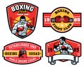 Design badge boxing set collection Royalty Free Stock Photo