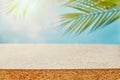 Design banner ads on summer season display concept , abstract blur tropical coconut leaves with white concrete table background Royalty Free Stock Photo