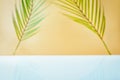 Design banner ads on summer season display concept , abstract blur tropical coconut leaves with white concrete table background Royalty Free Stock Photo