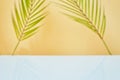 Design banner ads on summer season display concept , abstract blur tropical coconut leaves with white concrete table background Royalty Free Stock Photo