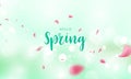 Design banner flower Spring background with beautiful.