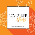 Design banner with lettering november is here logo. Orange Card for fall season with black frame and white maple leaves. Promotion