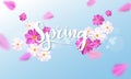Design banner Spring background with beautiful pink and white flower.