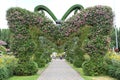 Beautifully designed a butterfly pathway in Dubai Miracle Garden with selective focus