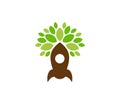 Launch Tree Logo Icon Design Royalty Free Stock Photo