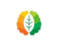 Leaf Brain Logo Icon Design