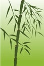 Design of chinese bamboo trees