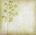 Design of chinese bamboo trees with texture Royalty Free Stock Photo