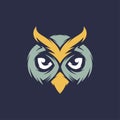 Design concept logo - Colorful concentrated wise owl template in vintage style