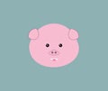 design about a cute cartoon pig head