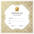 The design is decorative and formal, suitable for prestigious recognitions Royalty Free Stock Photo