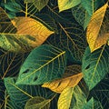 interconnected network of veins in leaves. Utilize fine linework and a mix of greens and yellows. AI Generated