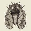 Design Element Hand Drawn Illustration of Vintage Steampunk Cicada Isolated on Light Background. Steampunk Cicada Drawn Royalty Free Stock Photo