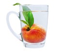 Design Element Ripe Juicy Peach in Glass Cup with Water Isolated on White Background