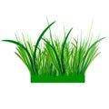 Design element. A tuft of grass drawn with a gradient Royalty Free Stock Photo