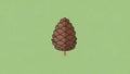 Design emphasize the pine cone s form and texture against the plain Royalty Free Stock Photo