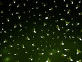 Fireflies background 3d rendering