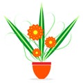 Design of flower in pot