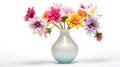 design flower vase white background Royalty Free Stock Photo