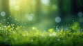 design green bokeh soft serene