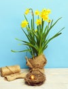 Spring yellow narcissus, golden easter egg and thread or rope Royalty Free Stock Photo