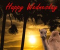 Design of `Happy Wednesday` - `the hump day`